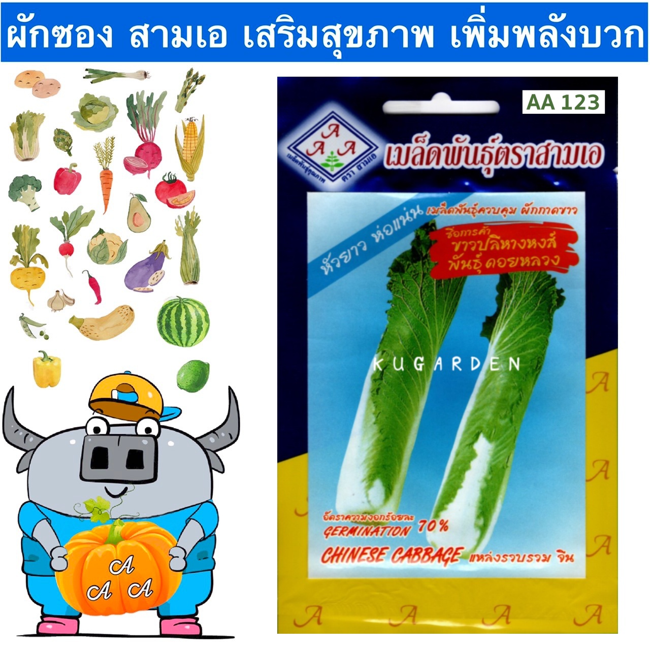 AAA 🇹🇭 ผักซอง สามเอ A123#ขาวปลีหางหงส์ คอยหลวง  เมล็ดพันธุ์ ขาวปลี เมล็ดพันธุ์ผัก เมล็ดผัก ผักสวนครัว ตราAAA