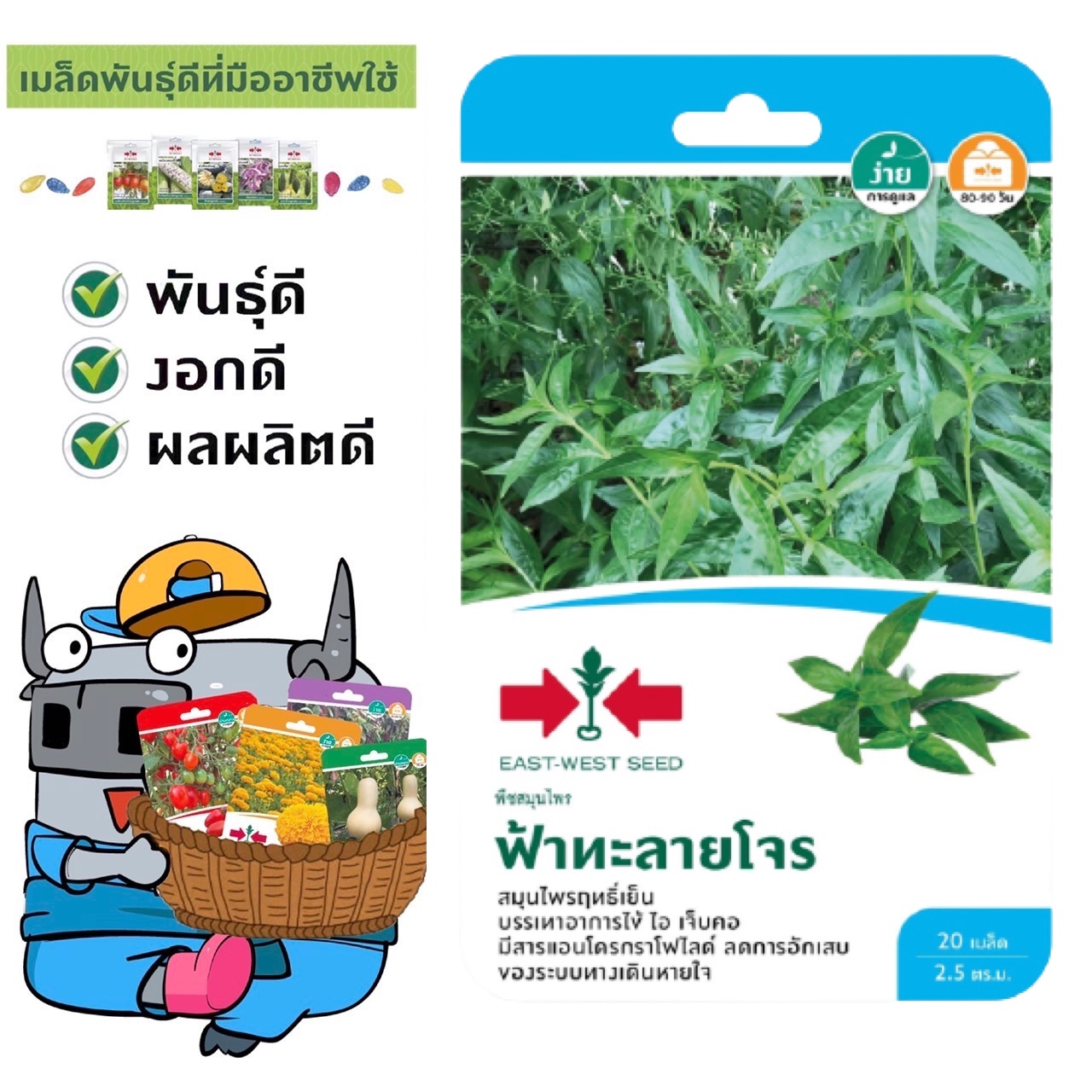 SORNDAENG 🇹🇭  ผักซอง ศรแดง ฟ้าทลายโจร  F1 พืชสมุนไพร เมล็ดพันธุ์ ทะลายโจร ฟ้า เมล็ดพันธุ์ลูกผสม เมล็ดพันธุ์ผัก ผักสวนครัว ผักศรแดง