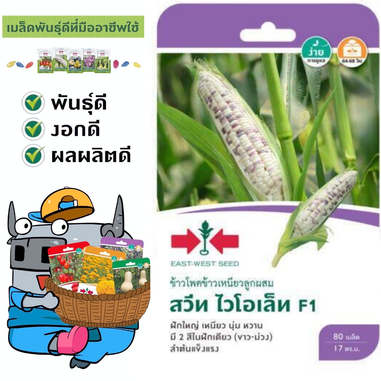SORNDAENG 🇹🇭 ผักซอง ศรแดง S038# ข้าวโพดข้าวเหนียว สวีท ไวโอเล็ท F1 เมล็ดพันธุ์ผัก ข้าวโพด เมล็ดพันธุ์ ผักสวนครัว