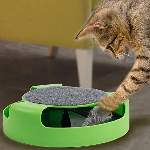 ของเล่นแมวไล่จับหนู เกมส์แมวจับหนู Catch the Mouse motion cat toy #P038