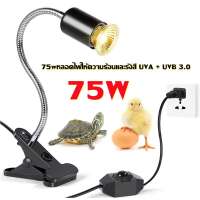 หลอดไฟให้ความร้อนและรังสี UVA + UVB 3.0 ขั้ว E27 ไฟนก ไฟเต่า ไฟกิ้งก่า ไฟสัตว์เลื้อยคลาน ให้ความอบอุ่นสัตว์เลี้ยง ไฟกก เต่าบก ลูกนก สัตว์เลื้อยคลาน