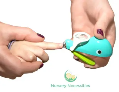 Nursery Necessities : NSN01* Nail Whale