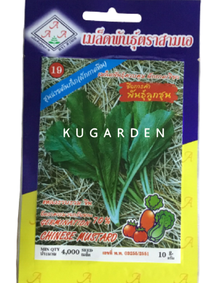 AAA 🇹🇭 ผักซอง สามเอ A019#ผักกาดเขียว พันธุ์ลูกชุน เมล็ดพันธุ์ ผักกาด เมล็ดพันธุ์ผัก เมล็ดพันธุ์ ผักสวนครัว ตราAAA