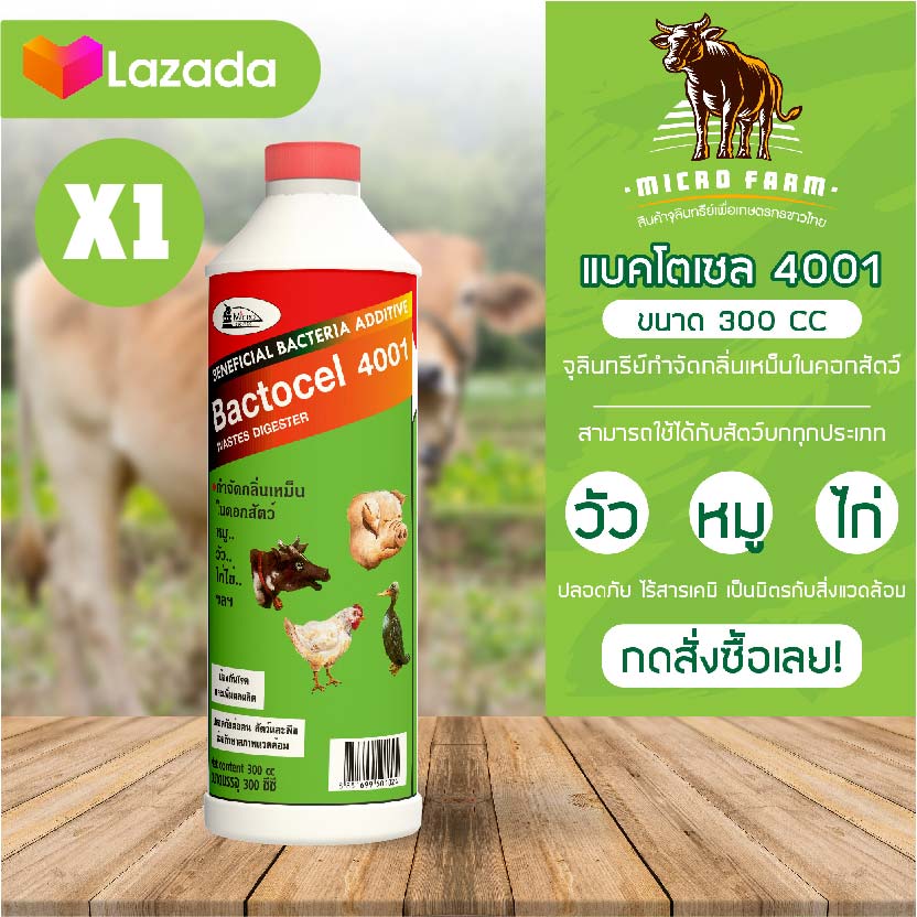 แบคโตเซล 4001 Bactocel 4001 ขนาด 300 ml. 1 ขวด ดับกลิ่นเหม็นคอกสัตว์ จุลินทรีย์คอกสัตว์ ยาดับกลิ่นคอกสัตว์ จุลินทรีย์กำจัดกลิ่น ดับกลิ่นคอกสัตว์ ราคา 100 บาท*ส่งฟรี