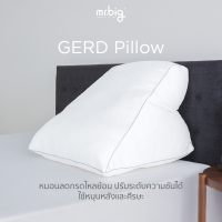mr.big GERD Pillow หมอน Ergonomic สำหรับผู้ป่วยกรดไหลย้อน ปรับระดับได้ พร้อมปลอกถอดซักได้