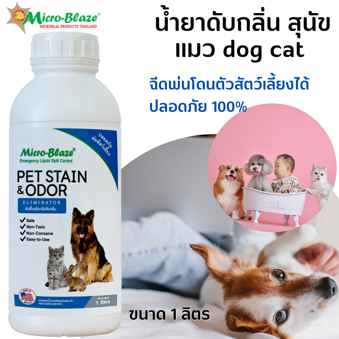 Micro-Blaze PET 1 ลิตร กำจัดกลิ่นเหม็นอันไม่พึ่งประสงค์ของสัตว์เลี้ยง น้ำยาดับกลิ่น สุนัข แมว dog cat หัวเชื้อเข้มข้น นำไปทำสเปรย์ดับกลิ่น ราคา 1,590 บาท*ส่งฟรี