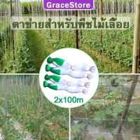 【GraceStore】Climbing Net Plant Trellis Plant Support Garden Netting Garden Tools Plant Stake Vine Plants For Pea Tomato Melon Ivy Flower Fruit