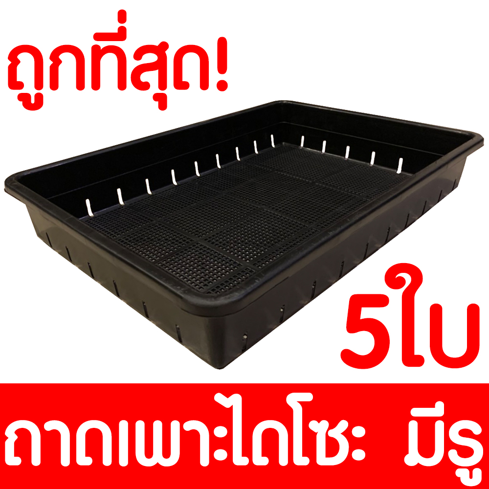 ถาดไดโซะ  5ใบ 50x36x8ซม ถาดเพาะไดโซะ ถาดเพาะ ถาดเพาะชำ ถาดเพาะต้นกระบองเพชร ถาดเพาะต้นอ่อน กระบองเพชร แคคตัส ตะกร้าปลูกผัก ตะกร้าดำ