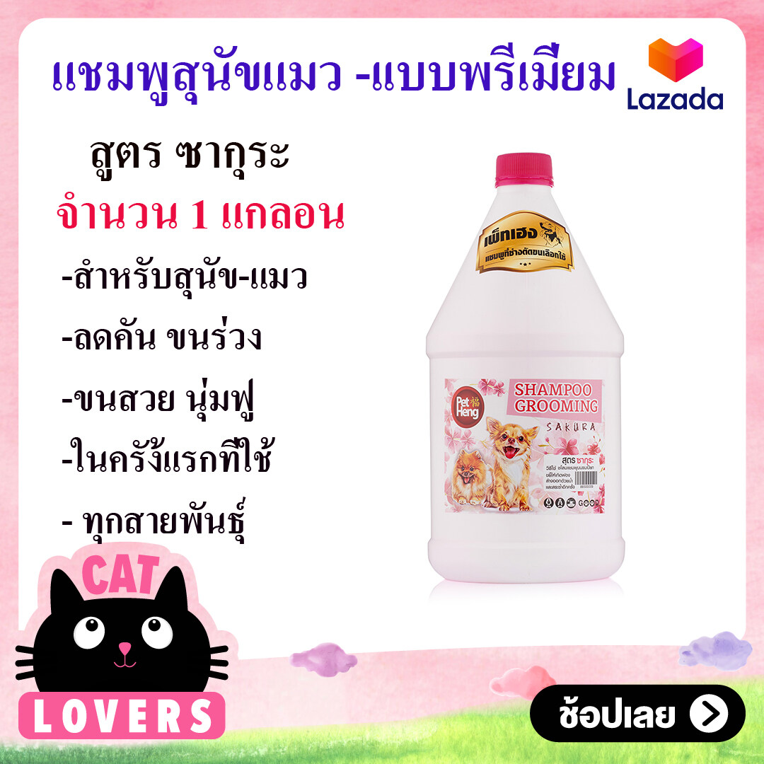 [ 1 แกลอน] 1.5 ลิตร Petheng Shampoo แชมพูสำหรับสุนัข คัน ขนร่วง กลิ่นตัวเเรง เหมาะกับหน้าร้อนของประเทศไทย สูตรซากุระ