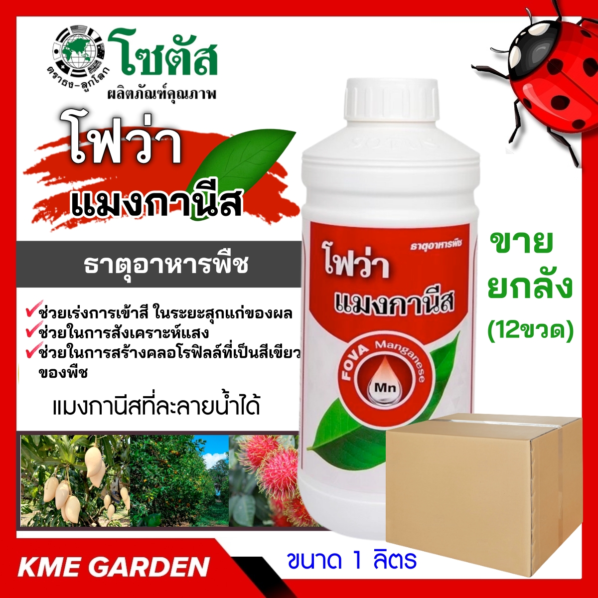 ****ขายยกลัง**** 🍄อาหารเสริม🍄 โฟว่า แมงกานีส ขนาด 1 ลิตร บรรจุ 12 ขวด เร่งการเข้าสีในระยะสุกแก่ของผล ส่งเสริมการเจริญเติบโตสูง