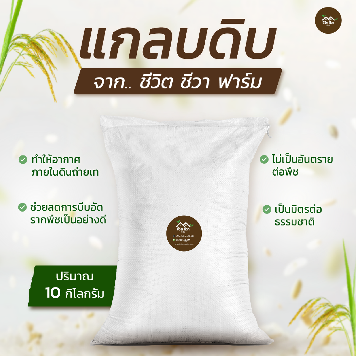 Raw Galangal (Sack Type) 10 Kg. Helps Retain Water and Drains Water Better. Reduce Soil Compaction Suitable for Preparing Soil for Planting in Pots or Planting Beds. ราคา 100 บาท*ส่งฟรี