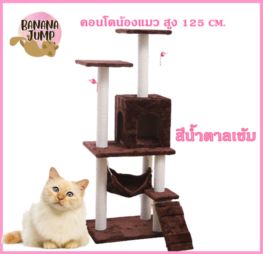 BJ Pet - คอนโดแมว สูง 125 ซม.