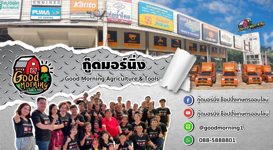 น้ำเงินเข้ม-6