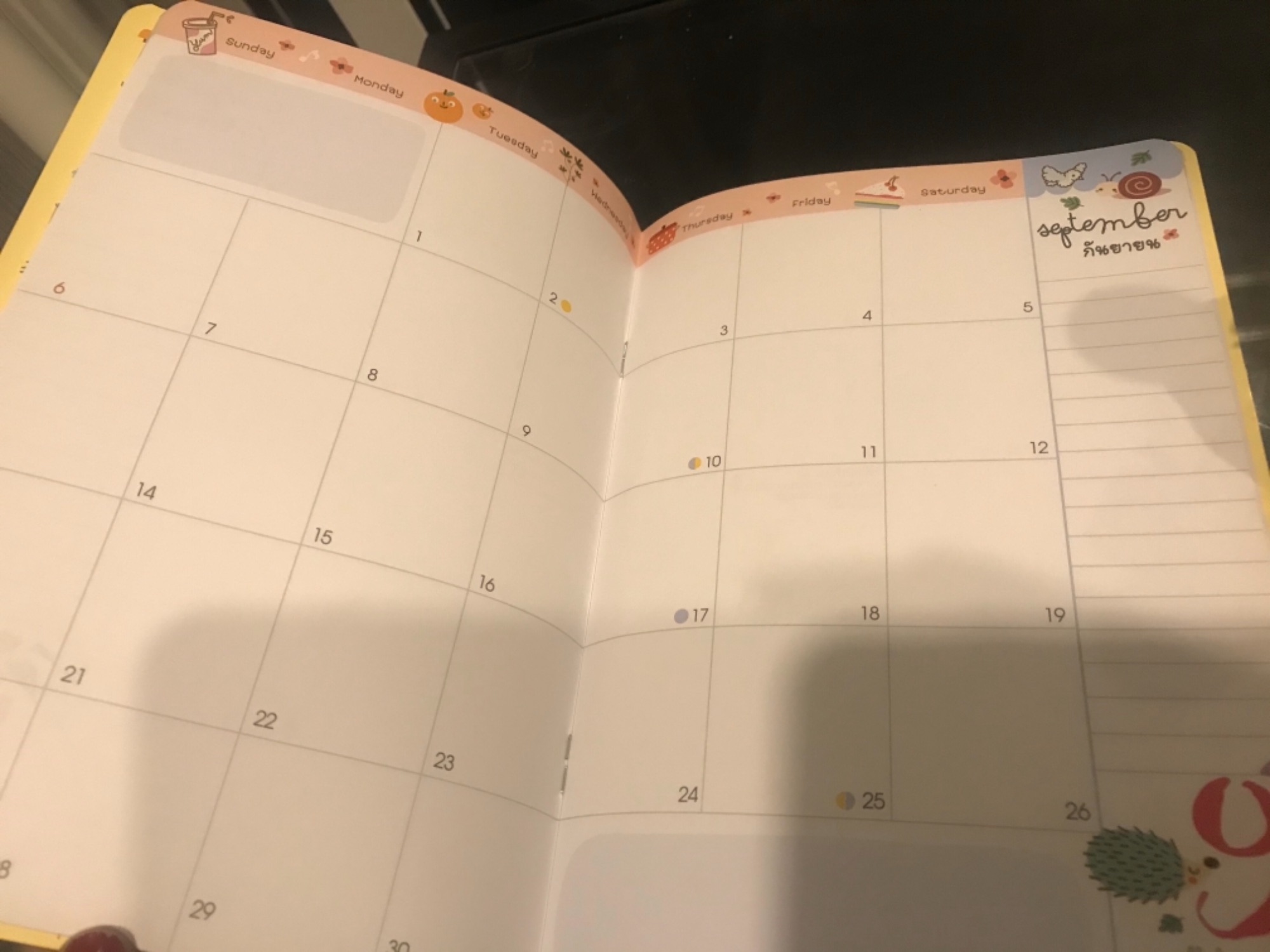2025 Year Planner