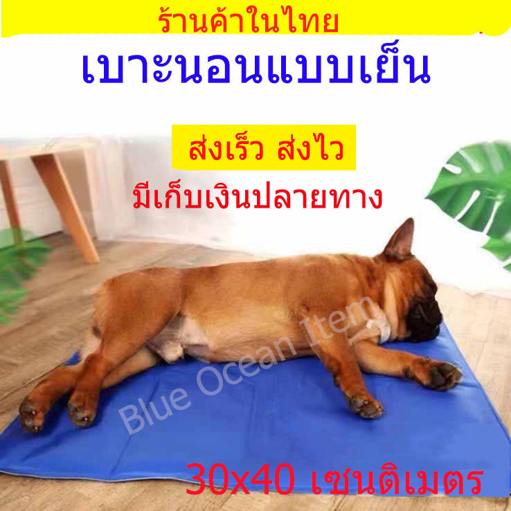 Pet Cool mat/ เบาะรองนอนแบบเย็นสำหรับสุนัขและแมว/ ที่นอนสุนัขแบบเย็น/ แผ่นเจลเย็นรองนอนหมาแมว/ ที่นอนแผ่นเจลเย็นหมาแมว ขนาด 30x40 เซนติเมตร
