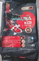 SAKURA KOI Color Boosting Formula อาหารปลาคาร์ฟ ซากุระโค่ย สูตรเร่งสี 1.25กก..เม็ดM(4mm)