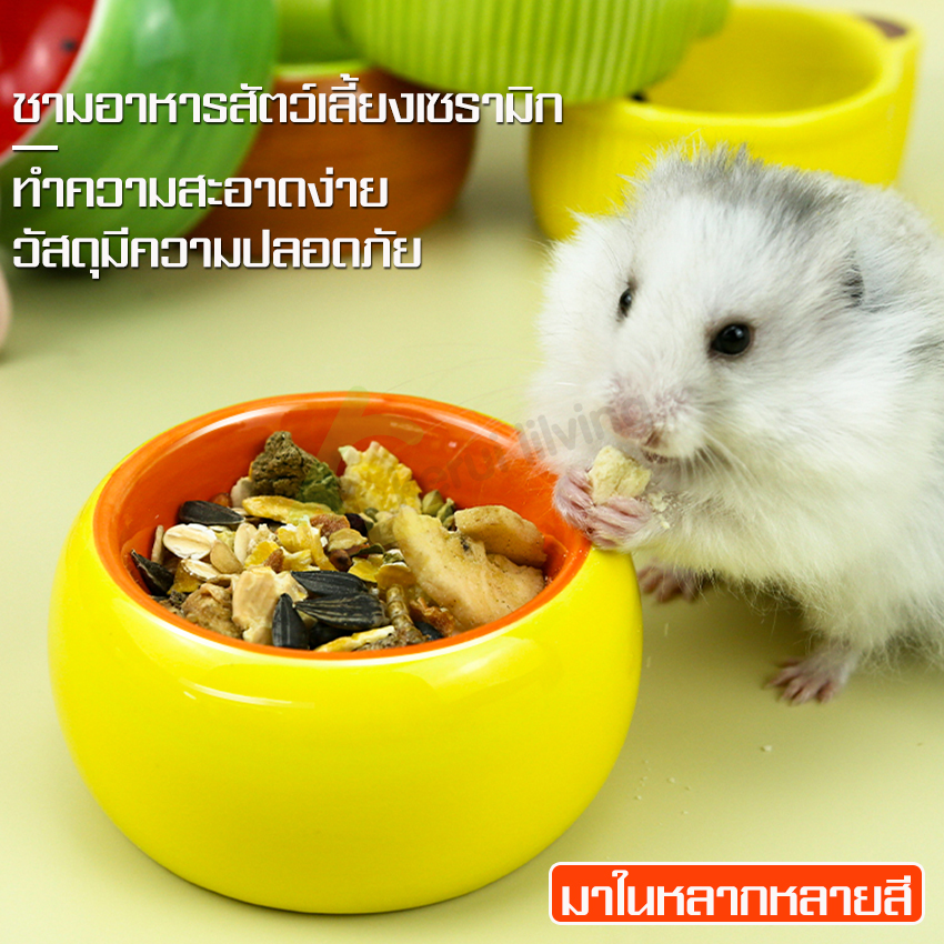 Anti-circulation ceramic food bowl hamster food supplement Bowl round food bowl ceramic food bowl ceramic rice bowl ราคา 99 บาท*ส่งฟรี