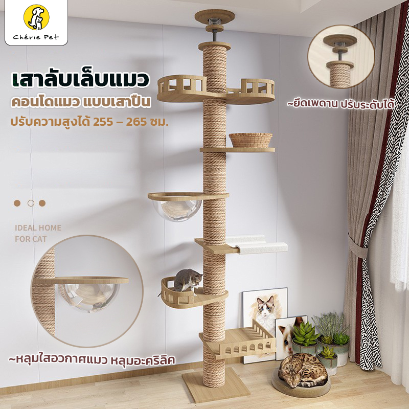 Cherie Pet シ คอนโดแมว เสาปีนป่าย เสาลับเล็บแมว เสาแมว ที่ลับเล็บแมว แบบเสาปืน ไม่ต้องเจาะเพดาน ปรับความสูงได้ 255 – 305 ซม. ราคา 560 บาท*ส่งฟรี