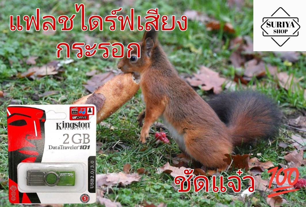 แฟลชไดรฟ์ เสียงกระรอก กระรอกใหญ่ กระรอกแดง ชัดแจ๋ว100% เสียงดี เข้าแน่นอน ใช้ไม่ได้ยินดีคืนเงิน ราคา 100 บาท*ส่งฟรี