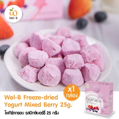Wel-B Freeze-dried Yogurt Mixed Berry 25g. (Pack 4 pcs)