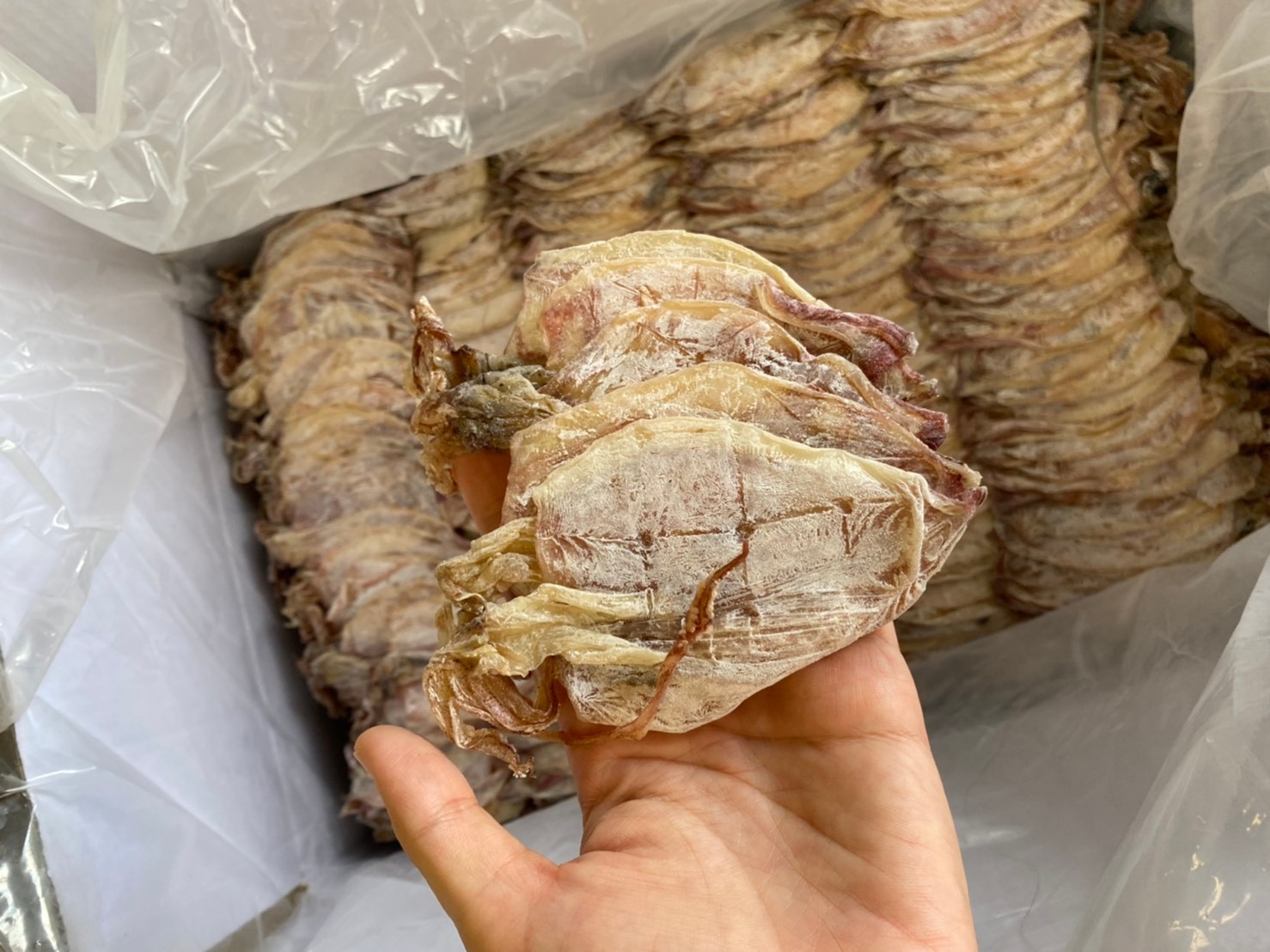 หมึกผ่า G5 นน 500 กรัม ราคาพิเศษ #แม่แขทะเลแห้ง /จัดส่ง G5 ครึ่งโล/ ราคา 405 บาท*ส่งฟรี