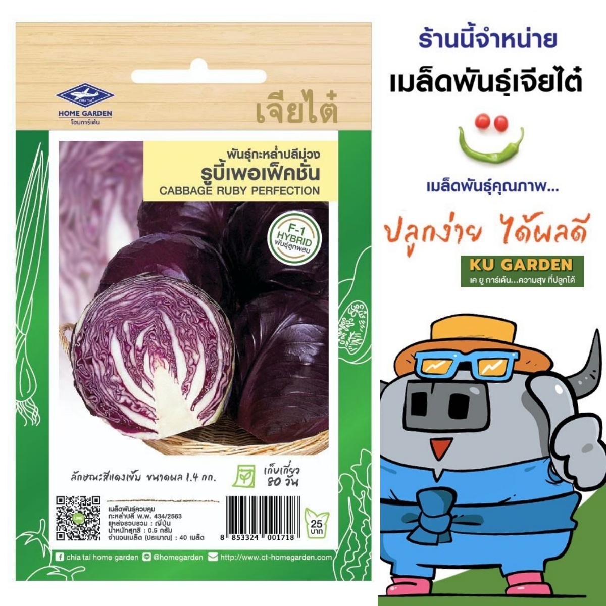 CHIATAI 🇹🇭 ผักซอง เจียไต๋ เจียไต๋ F139 พันธุ์กะหล่ำปลีม่วง รูบี้เพอเฟ็คชั่น จำนวนประมาณ 40เมล็ด กะหล่ำ  เมล็ดพันธุ์ผัก เมล็ดผัก เมล็ดพืช