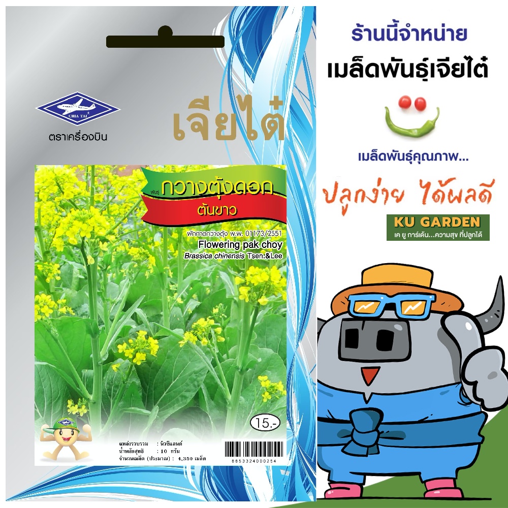 CHIATAI 🇹🇭 ผักซอง เจียไต๋ กวางตุ้งดอก ต้นขาว O015 ประมาณ 4,350 เมล็ด กวางตุ้ง เมล็ดพันธุ์ผัก เมล็ดผัก เมล็ดพืช ผักสวนครัว