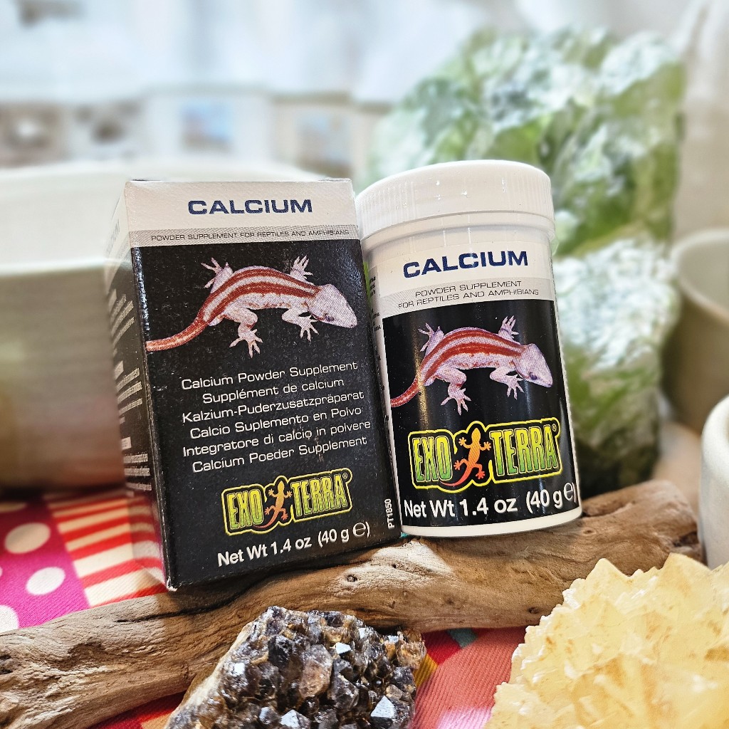Exo Terra® Calcium Powder Supplement PT1850 40g / PT1851 90g / PT1852 450g 🦎 แคลเซียมเสริมสัตว์เลื้อยคลานและสัตว์ครึ่งบกครึ่งน้ำ DSMXO Exo Terra® Calcium Powder Supplement PT1850 40g / PT1851 90g / PT1852 450g 🦎 แคลเซียมเสริมสัตว์เลื้อยคลานและสัตว์ครึ่งบกครึ่งน้ำ DSMXO