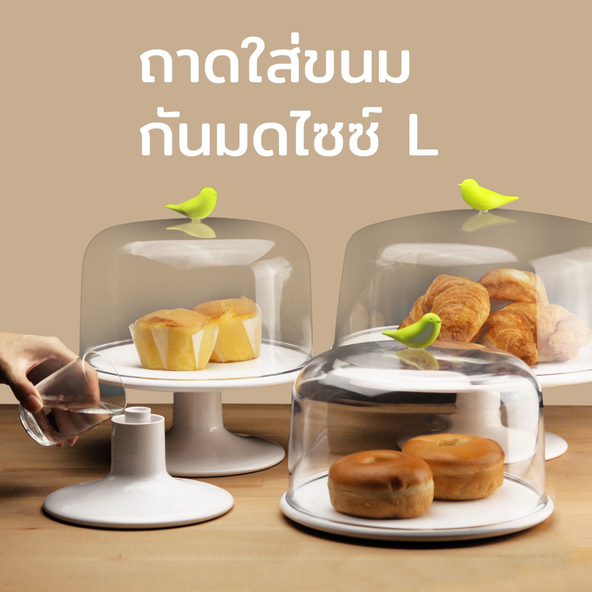Sweet Tweet L Cake Tray ถาดใส่ขนมเค้ก พร้อมฝาครอบ ดีไซน์ นกน้อย กันมดแมลงได้ Qualy (ควอลี่) ราคา 800 บาท*ส่งฟรี