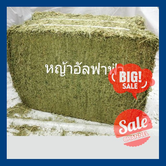 SALE !!ราคาพิเศษสุดๆ ## หญ้าอัลฟาฟ่า แบ่งออกจากฟ้อนกิโลละ 220฿ จากเครือ pcg สมาร์ทฮาร์ท อ่านก่อนสั่ง ##สัตว์เลี้ยงอุปกรณ์สัตว์เลี้ยง