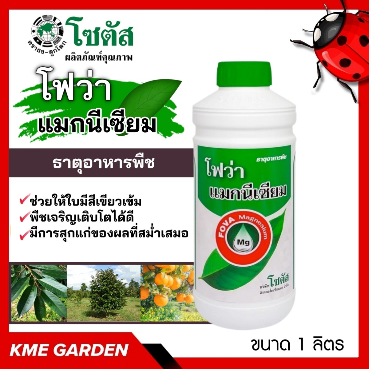 🍄อาหารเสริม🍄 โฟว่า แมกนีเซียม ขนาด 1 ลิตร ใบเขียวเข้ม พืชสร้างอาหารได้ดี พืชเจริญเติบโตได้ดี และมีการสุกแก่ของผลที่สม่ำเสมอ