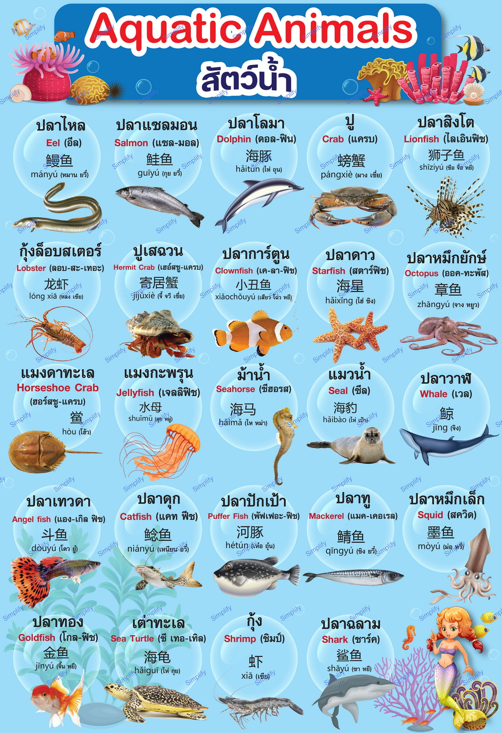 โปสเตอร์ คำศัพท์ภาษาอังกฤษและจีน เรื่องสัตว์น้ำ ราคา 20 บาท*ส่งฟรี