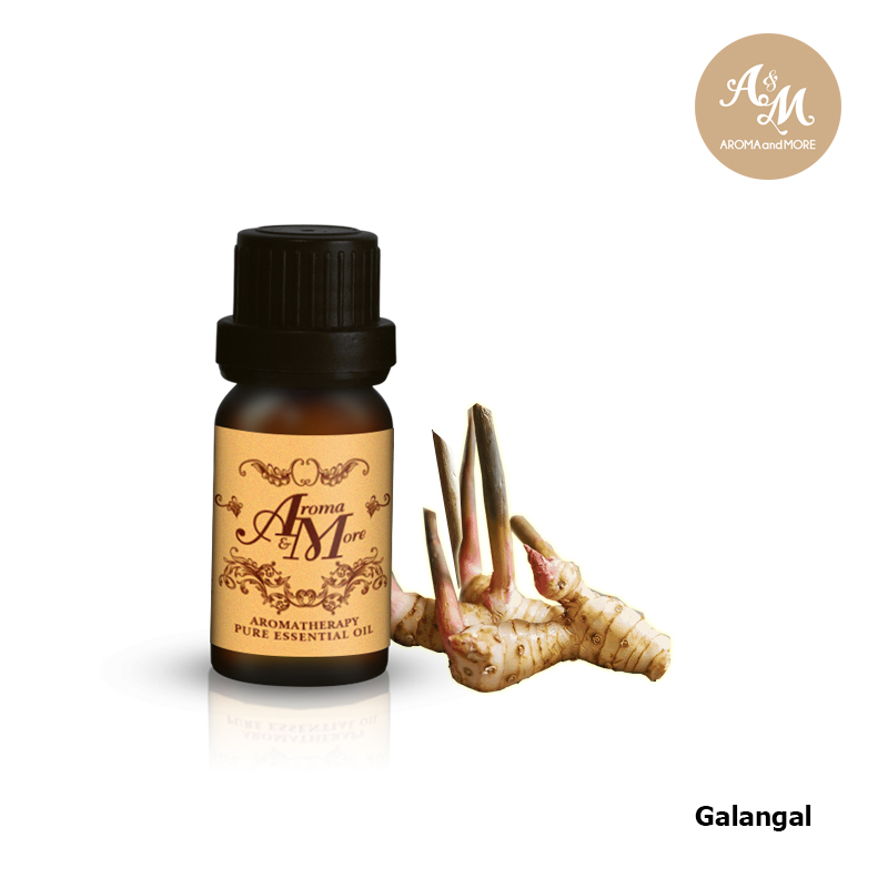 Aroma&More Galangal Essential Oil 100% Indonesia ,Fresh Masculine, Spicy, Woody -5/10/30/100ML ราคา 329 บาท*ส่งฟรี