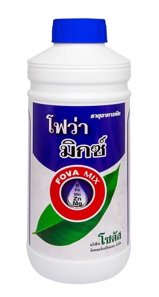 โฟว่า มิกซ์-2