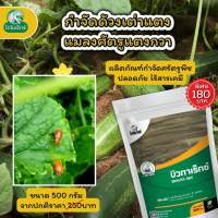 กำจัดแมลงศัตรูพืช ยาฆ่าด้วงเต่าแตง ในแตงกวา และ พืชทุกชนิด บิวทาเร็กซ์ โดย ไดโนเร็กซ์