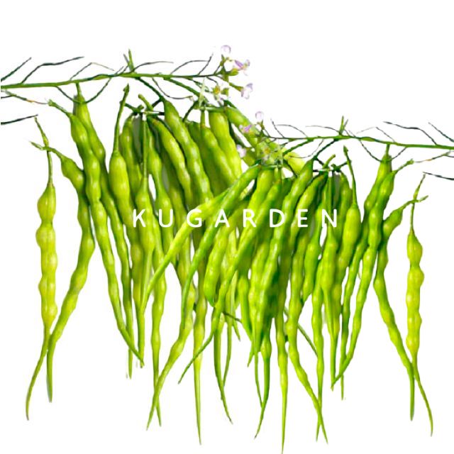 น้ำเงินเข้ม-3