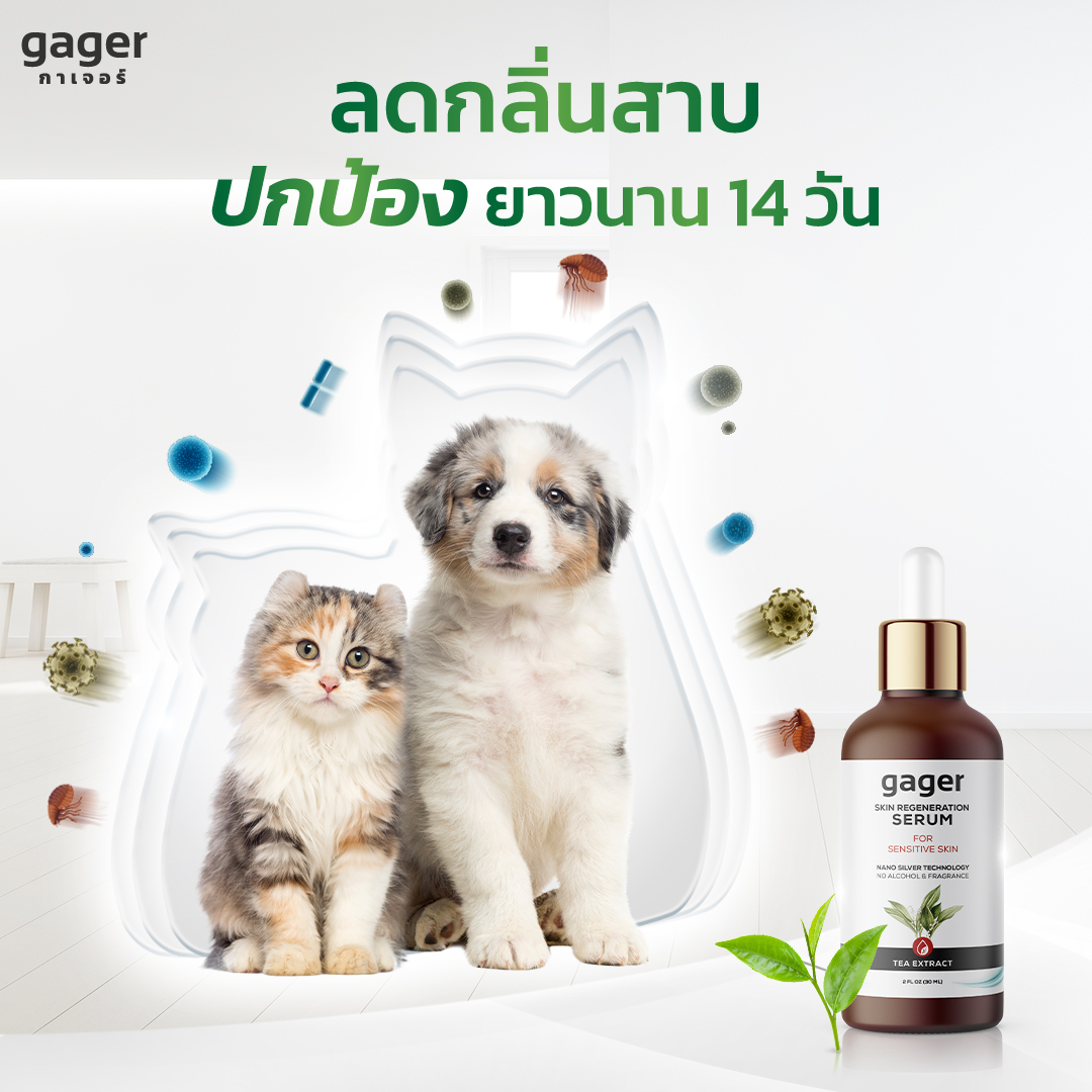 Gager (กาเจอร์) Nano Silver Serum เซรั่มนาโนซิลเวอร์ ลดกลิ่นสาบสุนัขและแมว (100ml.) ราคา 690 บาท*ส่งฟรี