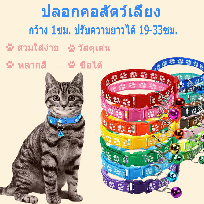 ปลอกคอแมว สร้อยคอแมว ปลอกคอสัตว์เลี้ยง ปลอกคอสุนัข มีให้เล