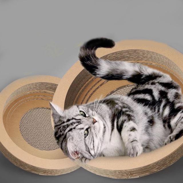 Cat Claw Rainer Cat Nail Polisher Cat Claw Rain Cat Toys Pet Supplies-wo