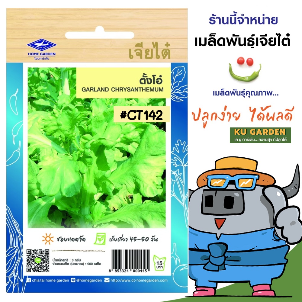 CHIATAI 🇹🇭 ผักซอง เจียไต๋ O142#ตั้งโอ๋ ซองประมาณ 900 เมล็ด เมล็ดพันธุ์ผัก เมล็ดผัก เมล็ดพืช ผักสวนครัว