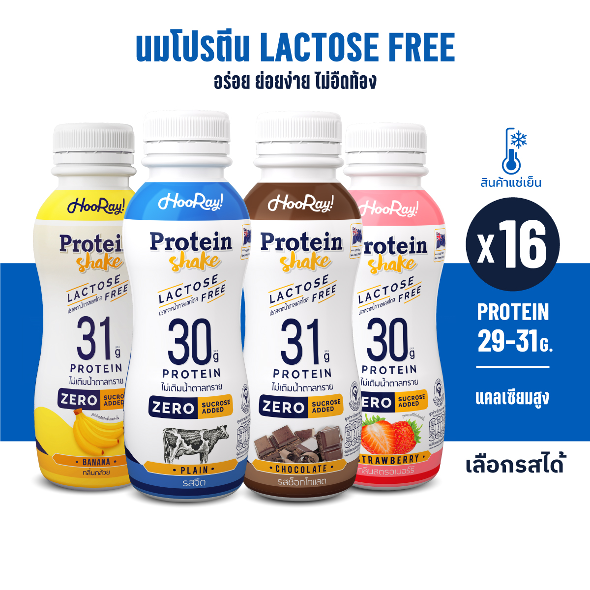 Hooray! Protein Shake Lactose Free นมโปรตีนสูตรเวย์ Pack 16 ขวด รอบส่งวันที่ 9-11 BBF23/10/2024 ต้องแช่เย็นตลอดเวลา ราคา 734 บาท*ส่งฟรี