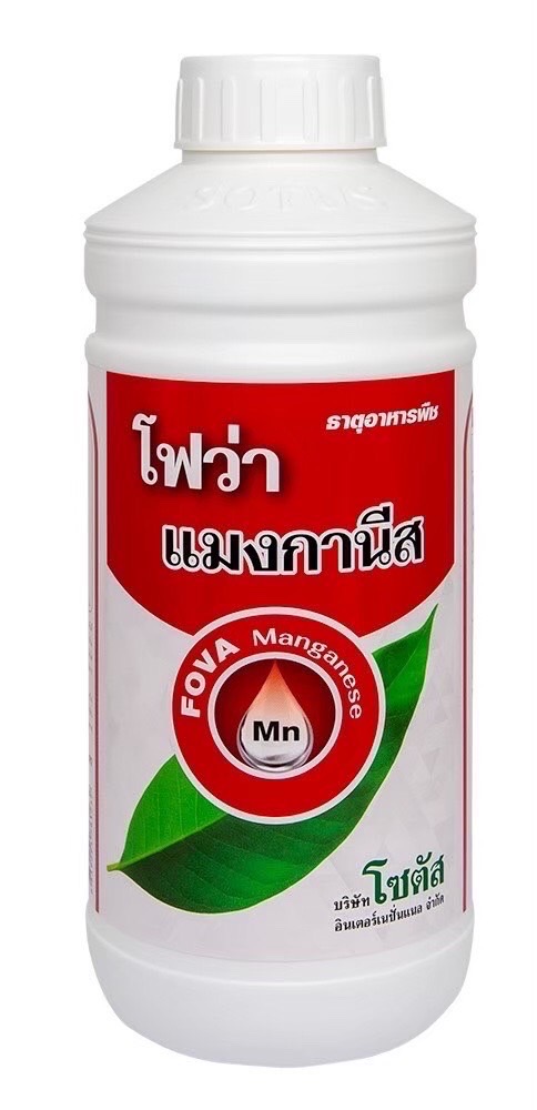 โฟว่า แมงกานีส-2