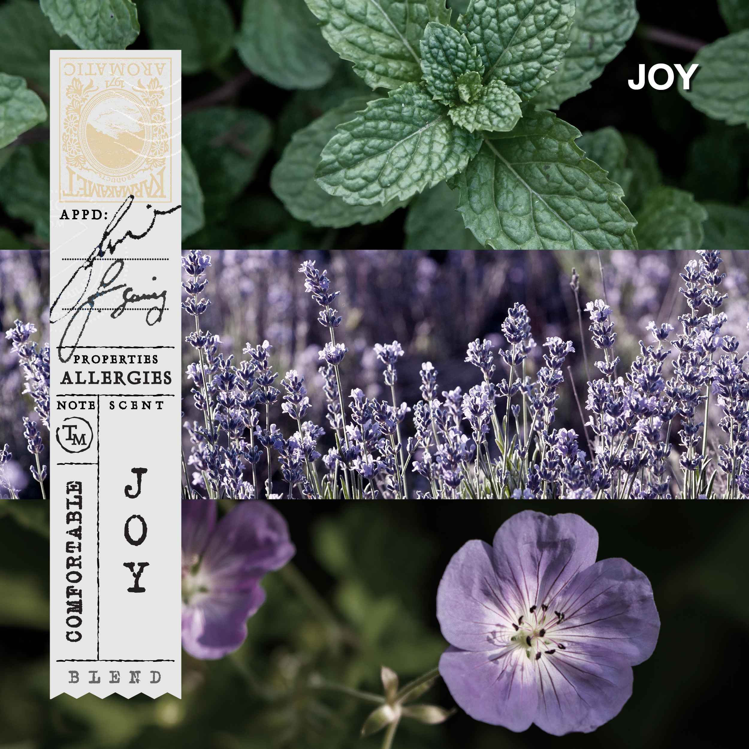 KARMAKAMET | Aromatherapy Room Perfume Diffuser | คามาคาเมต ก้านไม้หอมกระจายกลิ่น ตกแต่งบ้าน ปรับอากาศ ผ่อนคลาย