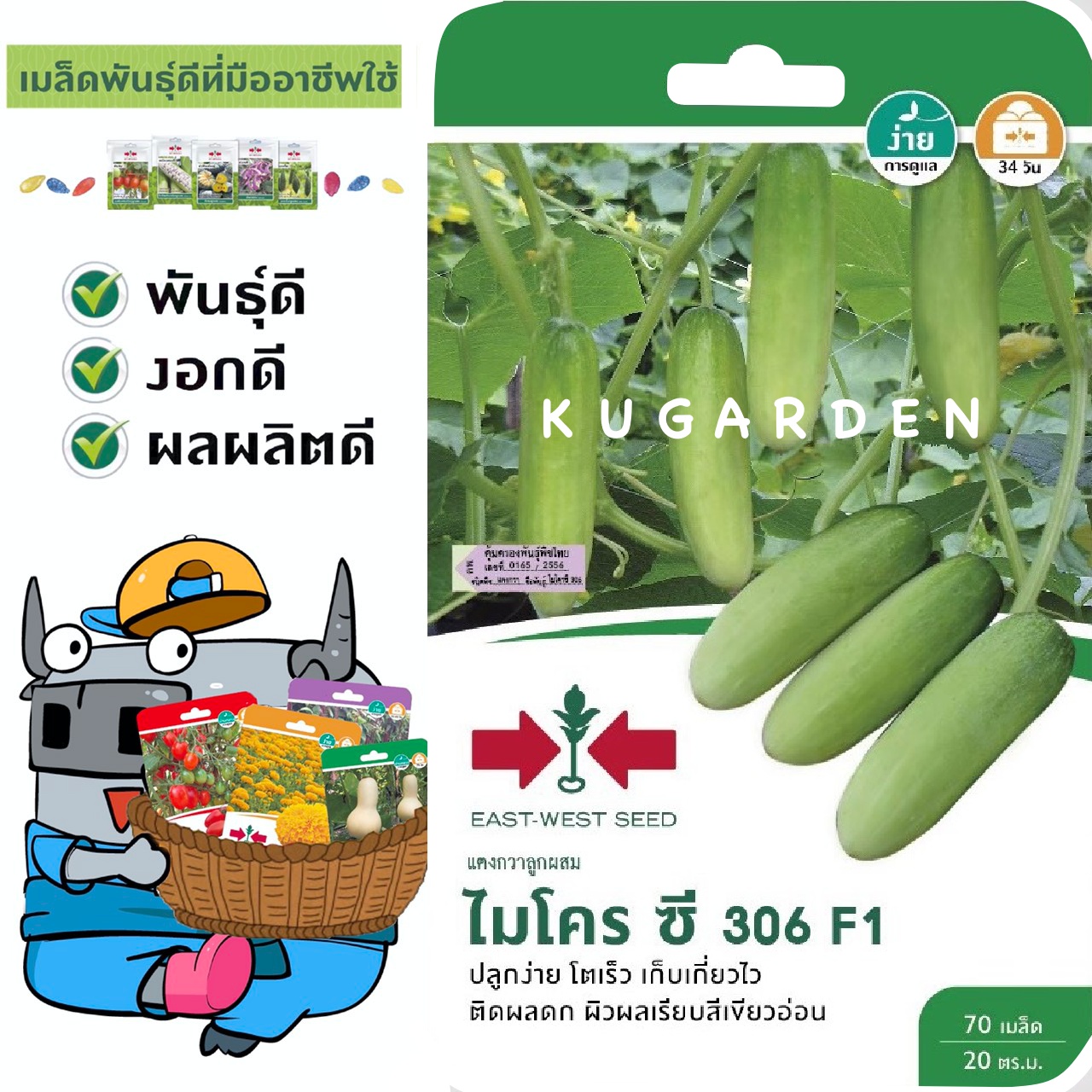 SORNDAENG 🇹🇭 ผักซอง ศรแดง S012# แตงกวา ไมโครซี 306 F1 เมล็ดพันธุ์ลูกผสม เมล็ดพันธุ์ผัก เมล็ดพันธุ์ ผักสวนครัว ผักศรแดง