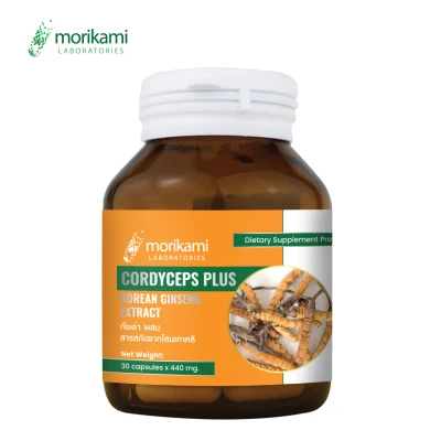 ถั่งเช่า ผสม สารสกัดจากโสมเกาหลี x 1 ขวด Cordyceps Plus Korean Ginseng Extract Morikami ถั่งเฉ้า โมริคามิ