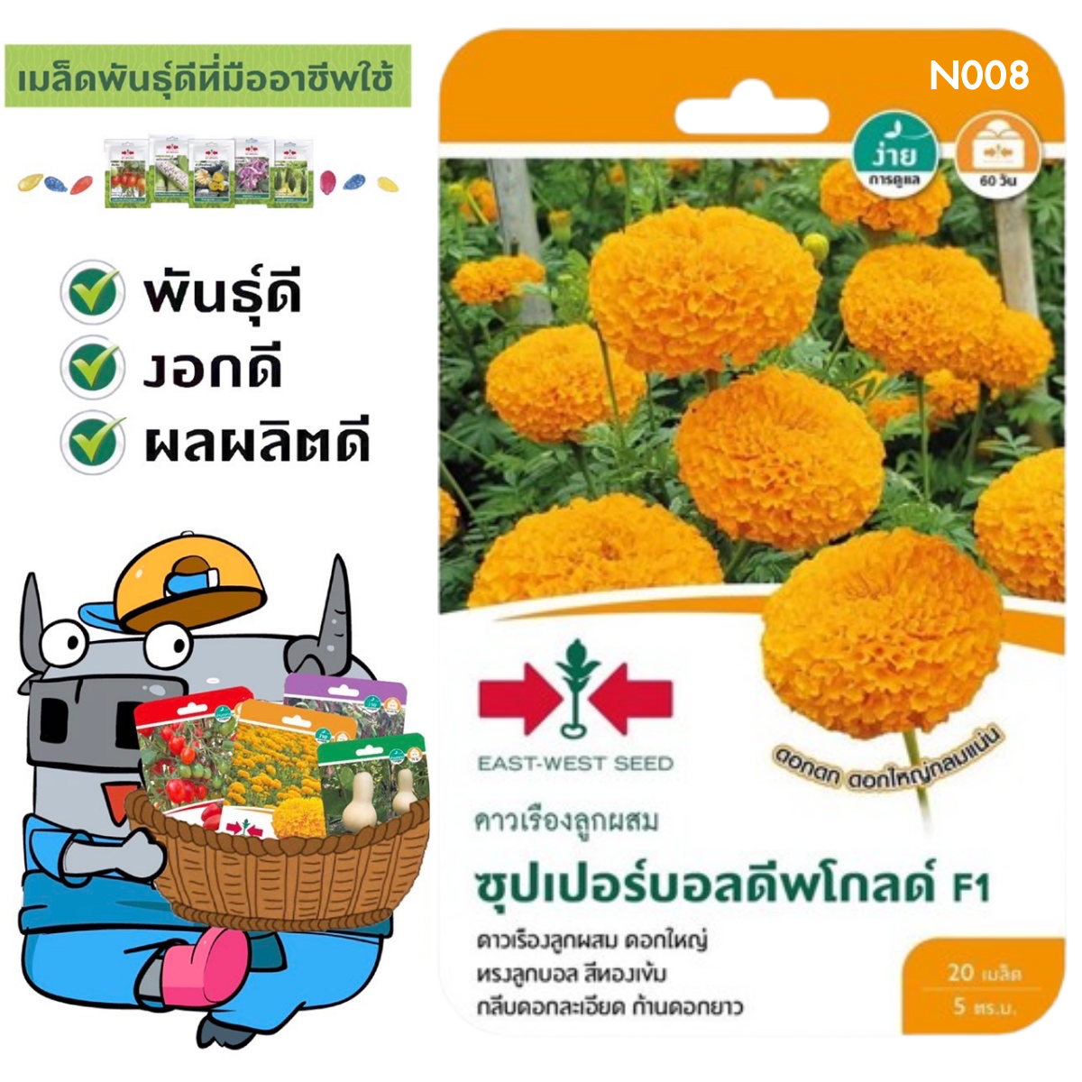 SORNDAENG 🇹🇭 ผักซอง ศรแดง N008# ซุปเปอร์บอลดีพโกลด์  F1 เมล็ดพันธุ์ เมล็ดพันธุ์ลูกผสม เมล็ดพันธุ์ผัก ผักสวนครัว ผักศรแดง