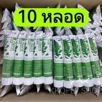ยาสีฟันดีเดนท์ 10 หลอด 158 บาท ยาสีฟันสมุนไพร ป้องกันฟันผุ ขนาด 100 กรัม