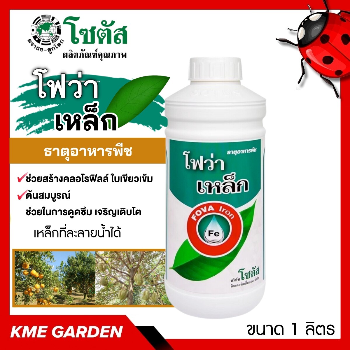 🍄อาหารเสริม🍄 โฟว่า เหล็ก ขนาด 1 ลิตร ช่วยสร้างคลอโรฟิลล์ ใบเขียวเข้ม ต้นสมบูรณ์ ช่วยในการดูดซึม การสังเคราะห์แสง ส่งเสริมการเติบโต