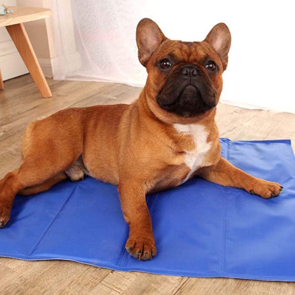 Pechshop PET Cool Mat ที่นอนสุนัข แบบเย็น ที่นอนแผ่นเจลเย็น เย็นสบาย สำหรับสุนัขและแมว สุนัข เบาะรองนั่ง รองนอน ที่นอนหมา ที่นอนน้อ