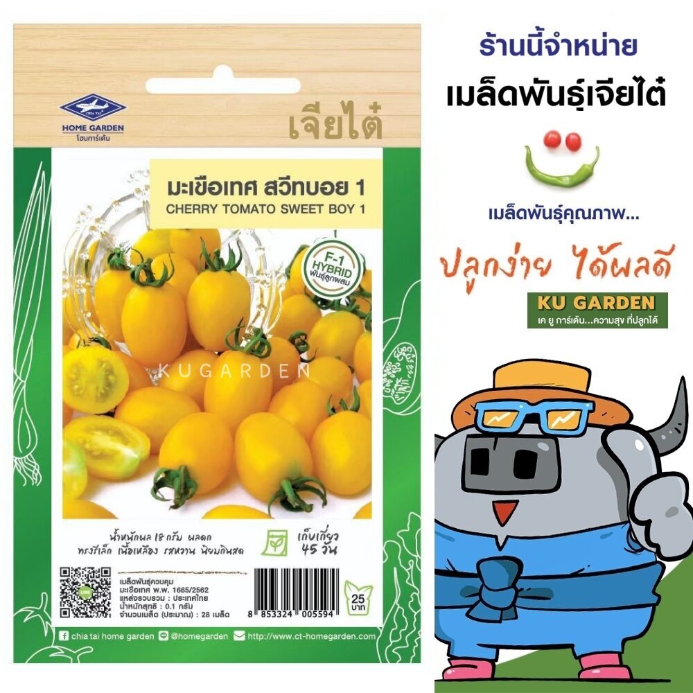 CHIATAI 🇹🇭 ผักซอง เจียไต๋ F075#มะเขือเทศเชอรี่ สวีทบอย1 F1  จำนวนประมาณ 28เมล็ด มะเขือเทศ เมล็ดพันธุ์ผัก เมล็ดผัก เมล็ดพืช ผักสวนครัว